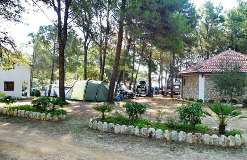  kamp camping Sapavac Vir Zadar