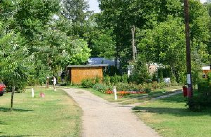 kamp camping jabukov cvet Banatski Brestovac