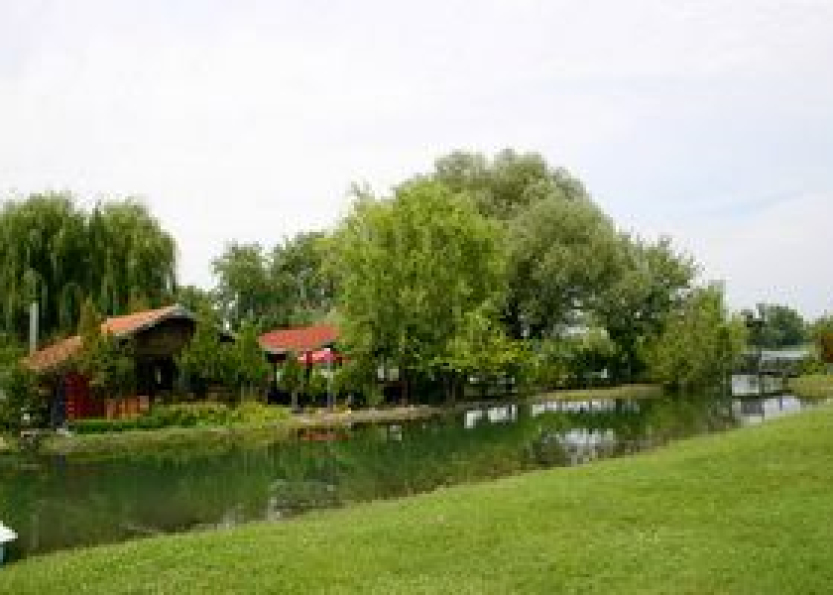Bela Crkva