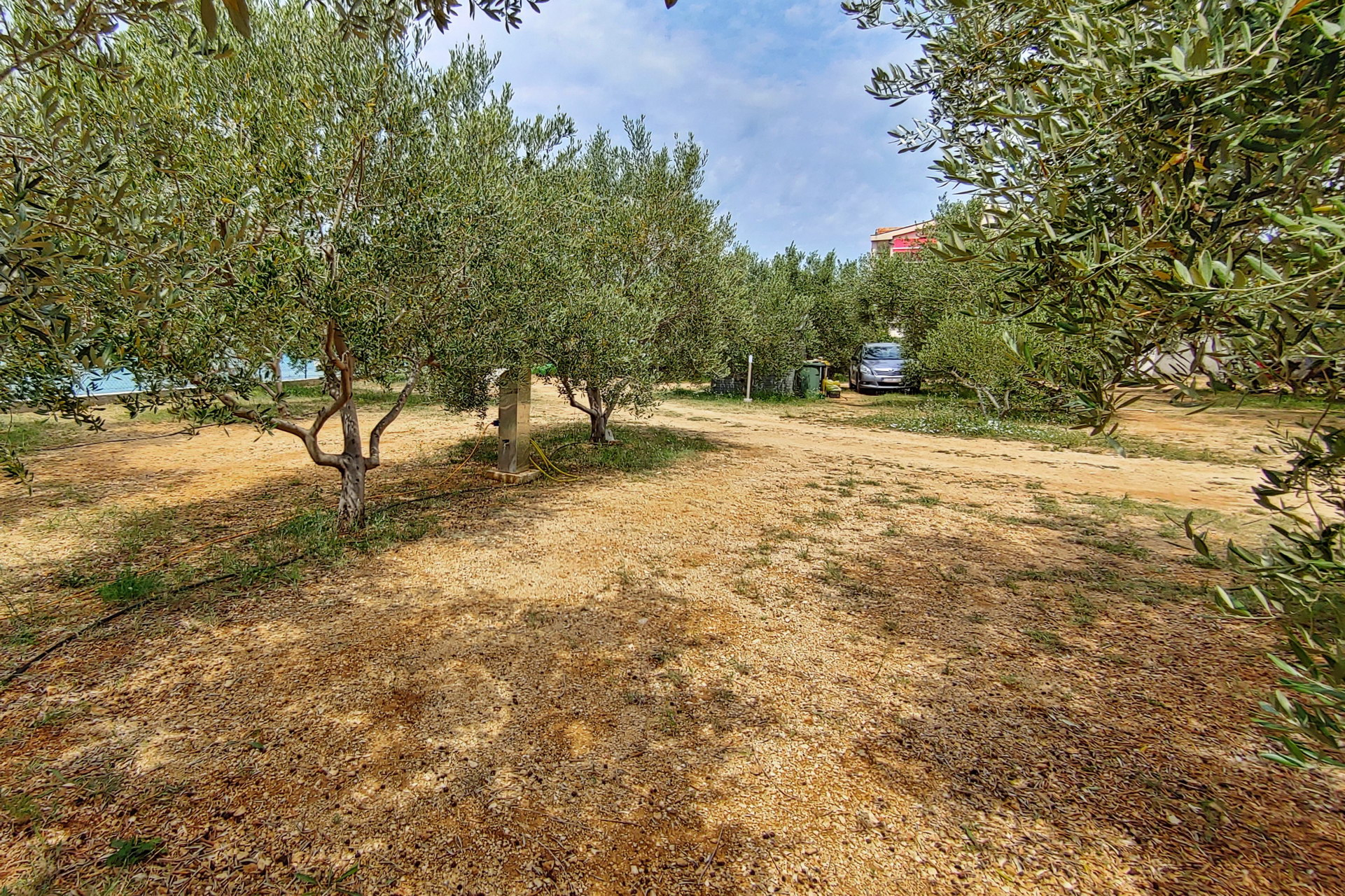 Camping Wodenca - Rab, Rab, Kvarner - Avtokampi.si